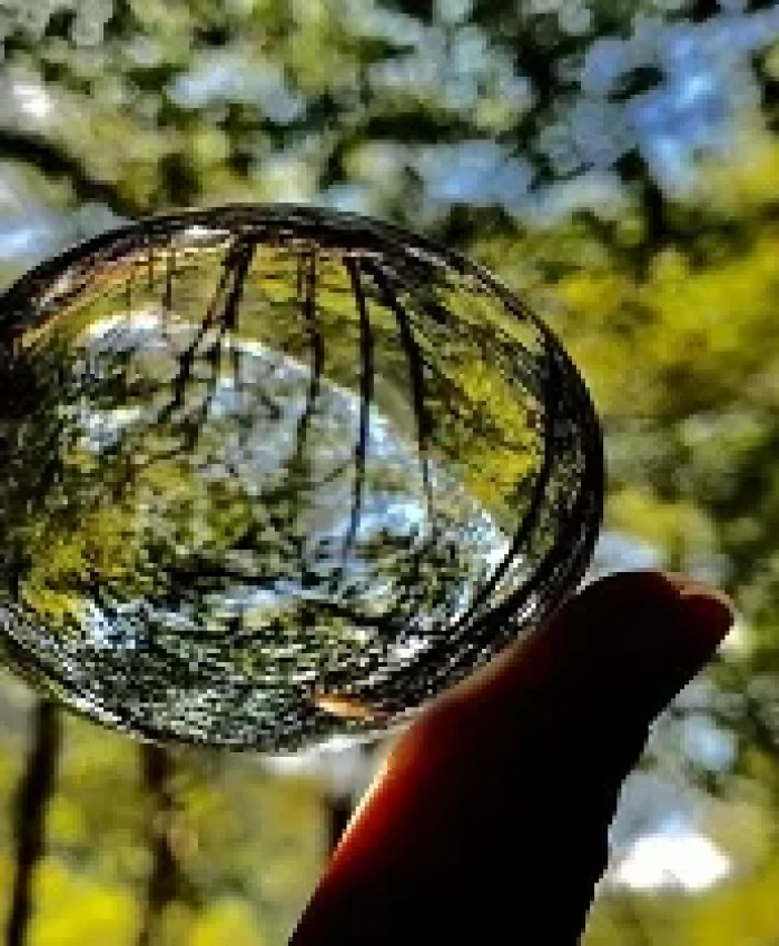 The Magic of Nature